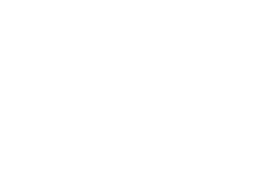 Bluemoon Logo